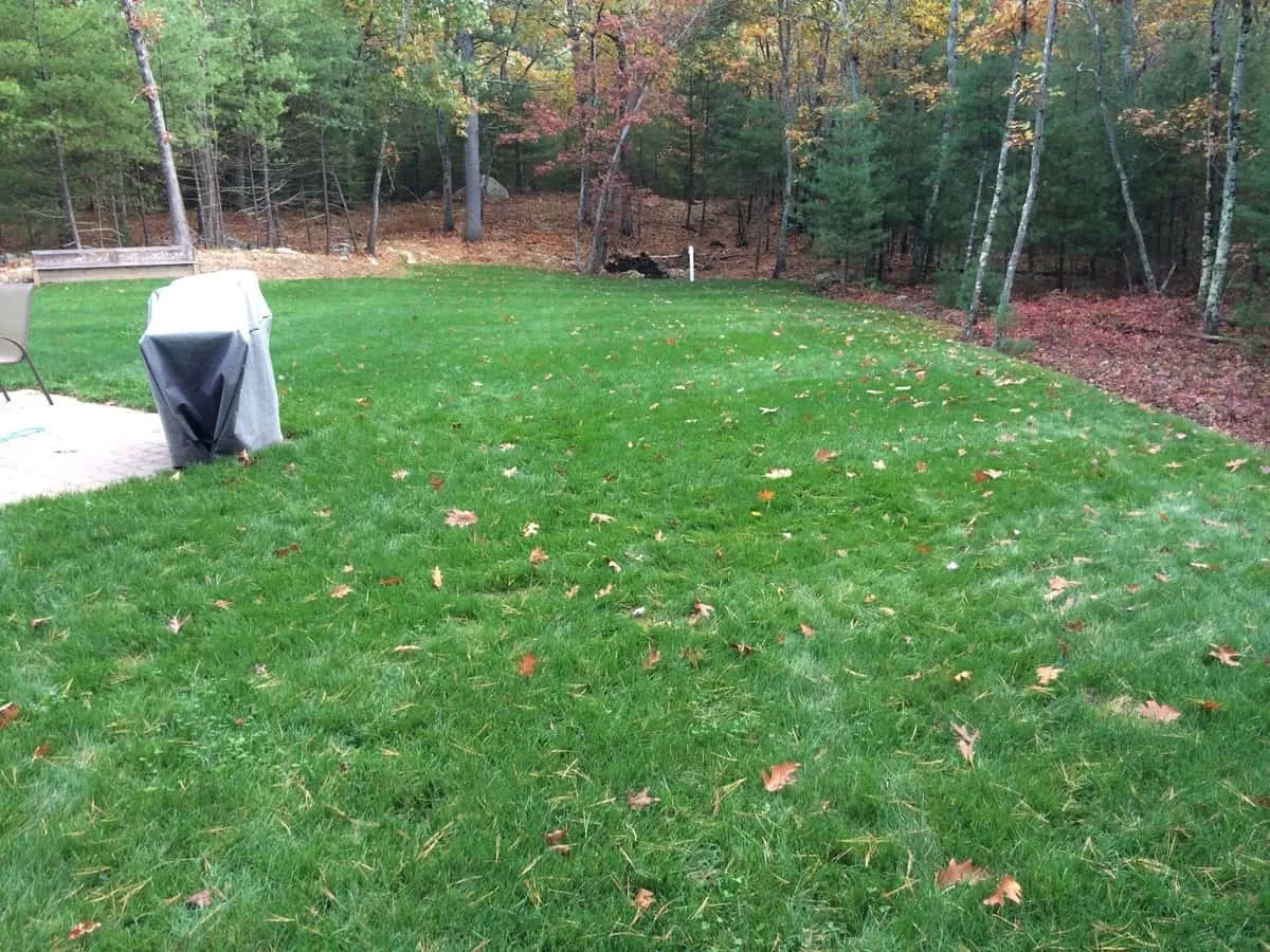 work photo from randalllandscaping.com