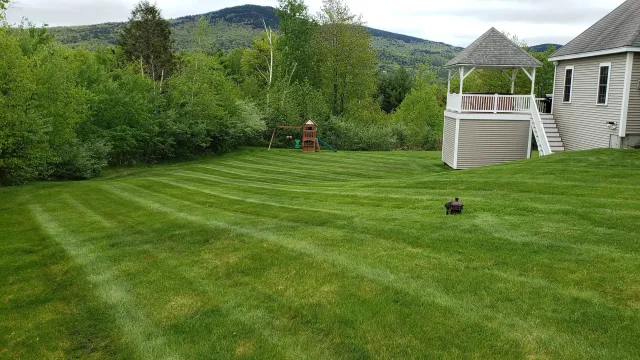 20190529_113445.jpg