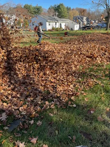 work photo from rvmlandscaping.com