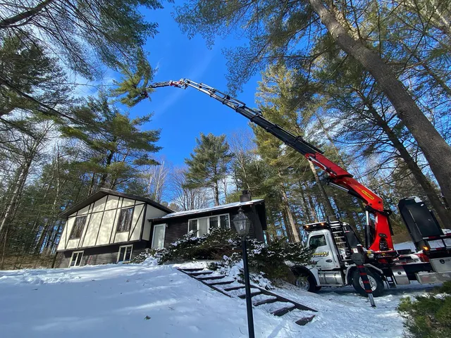 Burdick Tree and Property Services work photo
