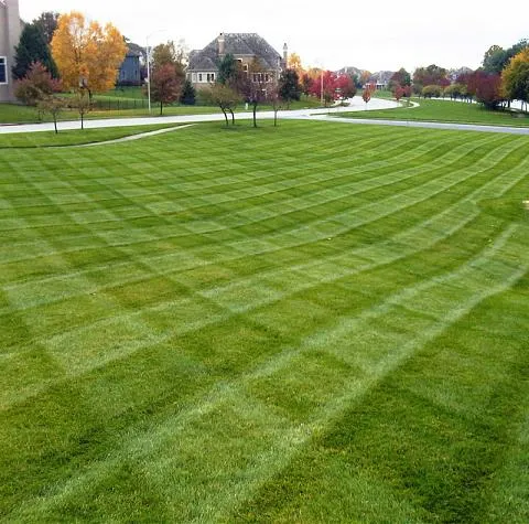Costello Landscaping work photo