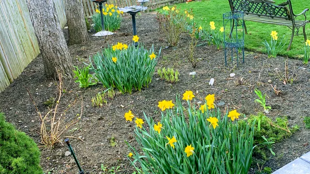 AG Landscaping and patios inc