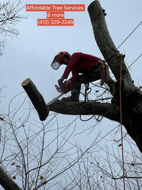Affordable Tree Services Llc work photo