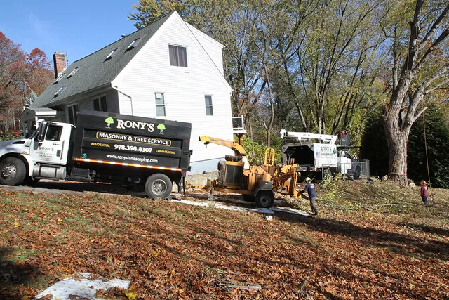 Rony's Landscaping, Inc. work photo