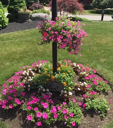 Pretty Petunias