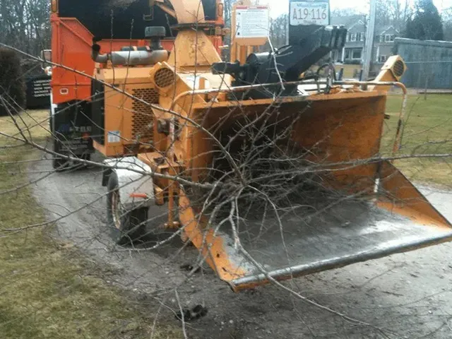 Orange snowblower with a wide metal chute on a trailer, viewed through tree branches outdoors.