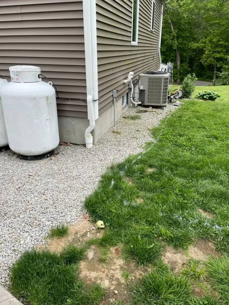 Before - lawn 6