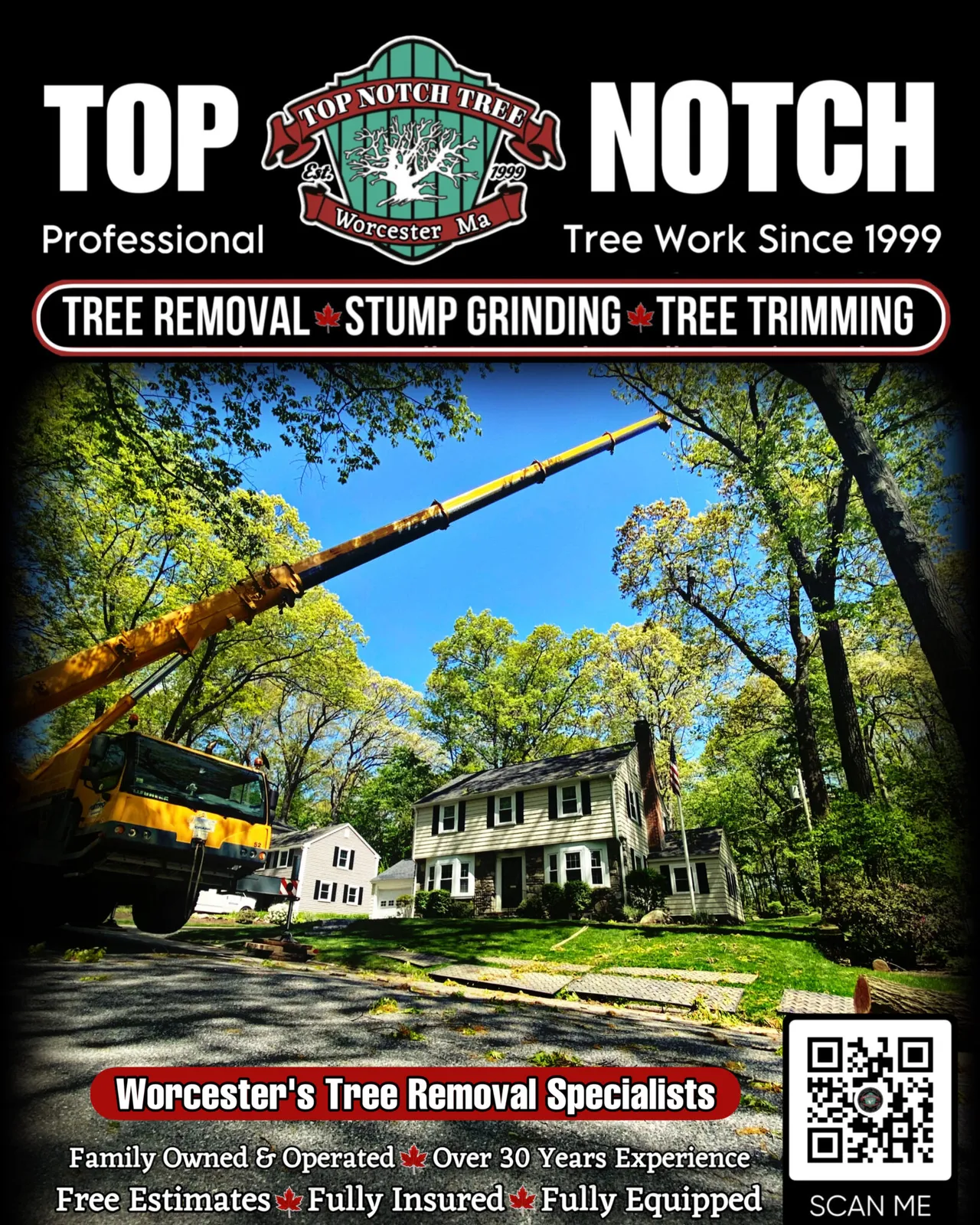 A tree trimming service brochure cover