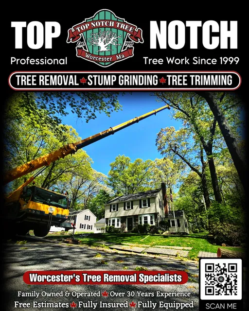 A tree trimming service brochure cover