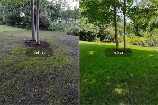 appleton st Landscaping