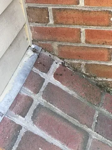 work photo from sandmpestservices.com