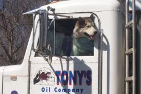 Tony's Oil Co work photo