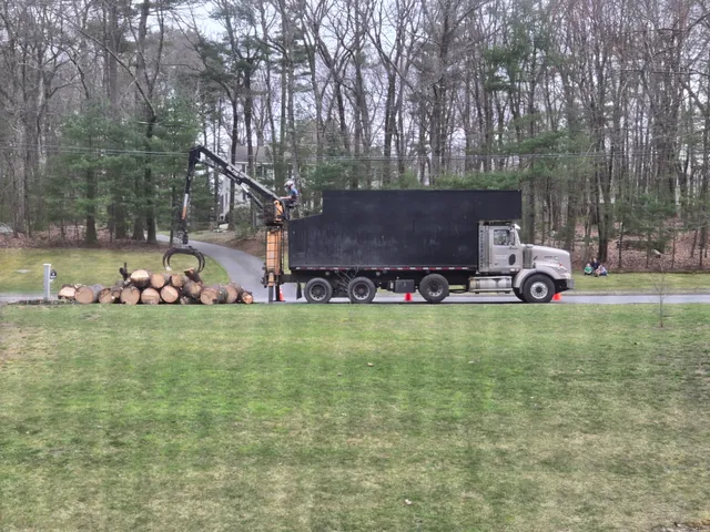 Hooper's Tree Service Inc. work photo