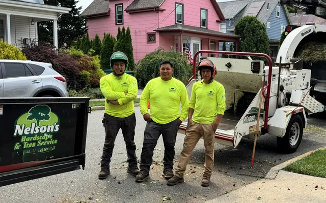 Nelson's Hardscape & Tree Service Inc work photo