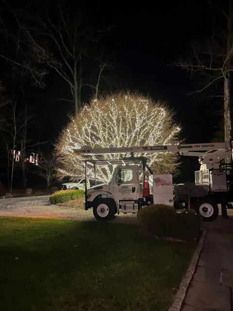 Utility truck in a dark yard at night, with bright decorative lights glowing behind it.