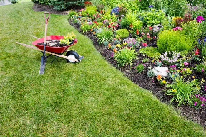 Wheelbarrow with flowers in a garden bed next to lush green grass.