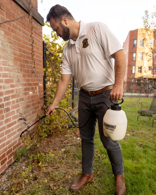 Federation Pest Control work photo