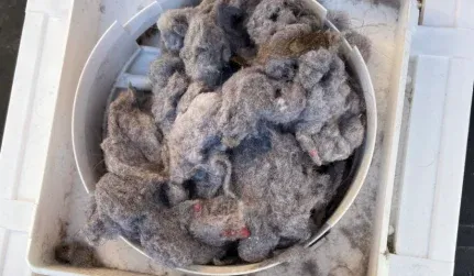 dryer vent maintenance