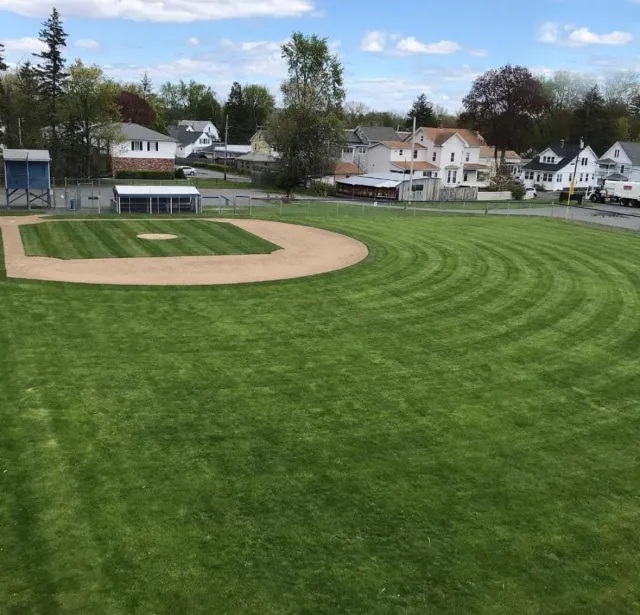New Sod at Cross Street