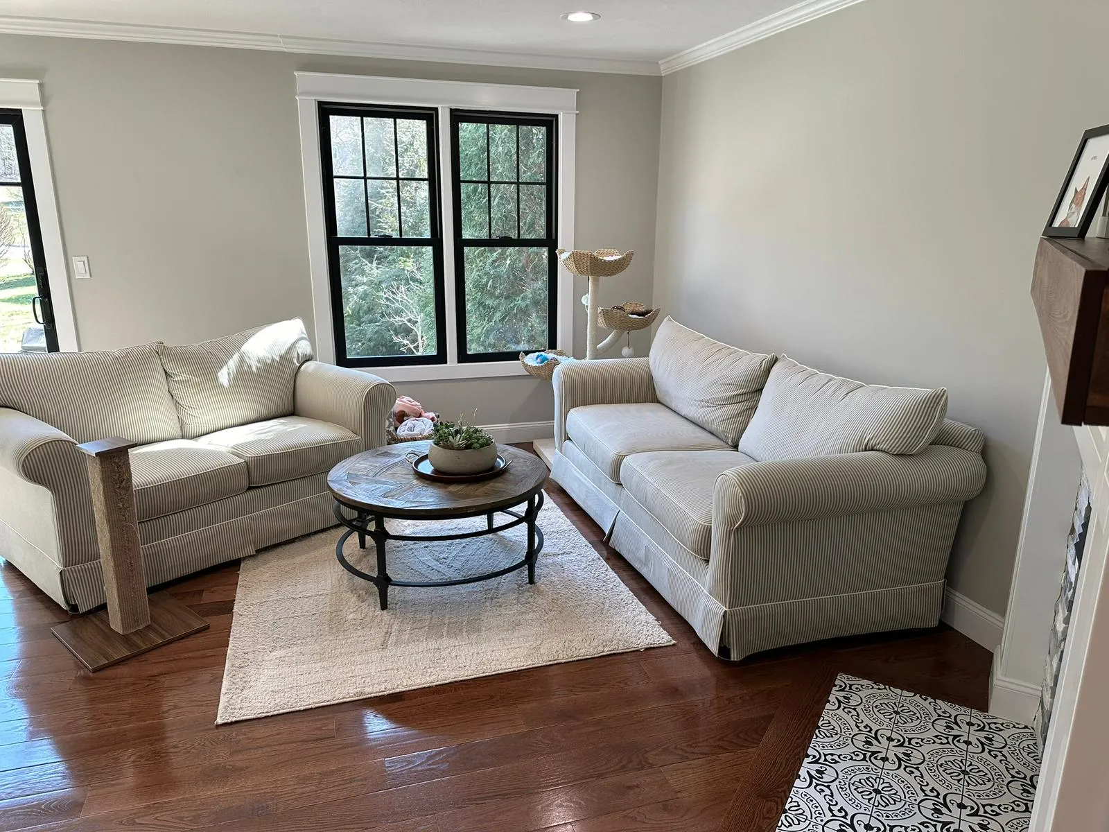 Dustless Cleaning