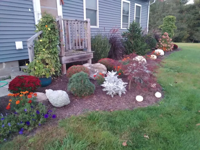 Quality Landscape and Tree work photo