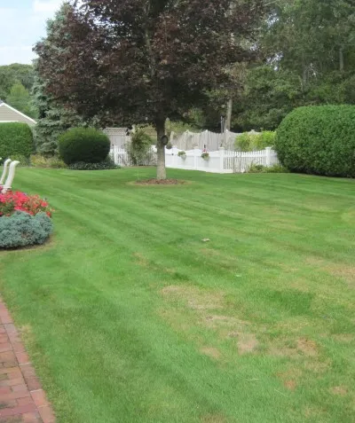 work photo from capescapeslandscaping.com