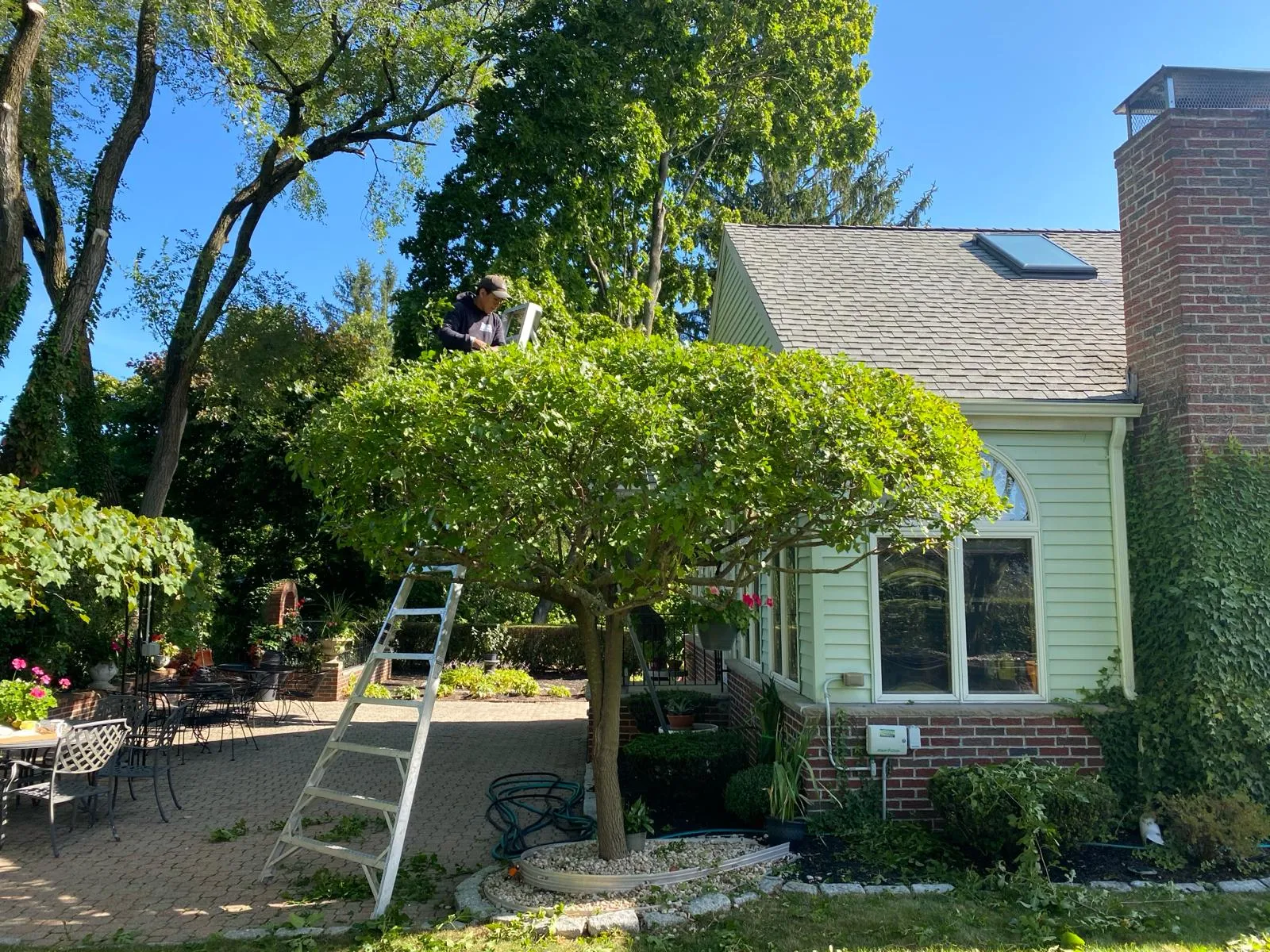 Jimmy's Masonry & Landscaping