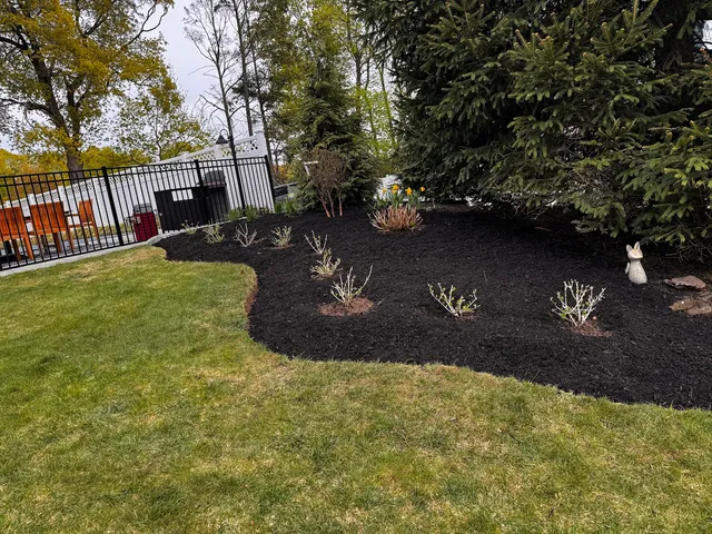 Best Views Landscaping