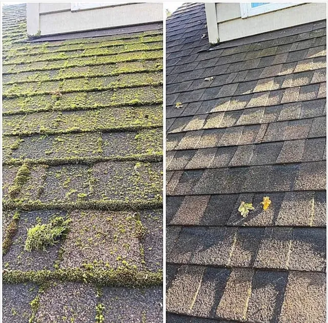 Before-and-after of a mossy roof: left heavily covered in green growth, right cleaned gray shingles.