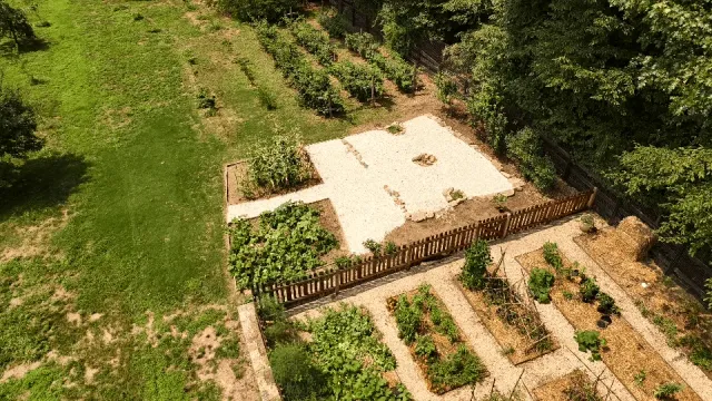 Vegetable beds and gravel paths beside the orchard rows