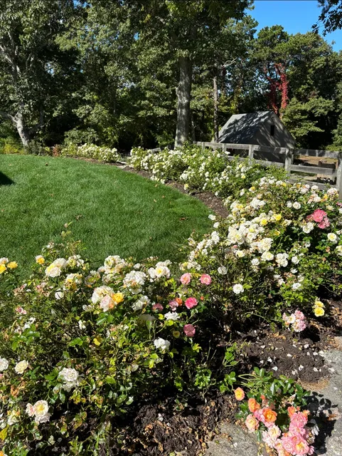 Sofkin Landscaping work photo