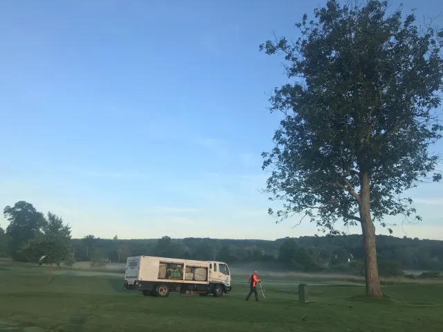 Trees are our passion.