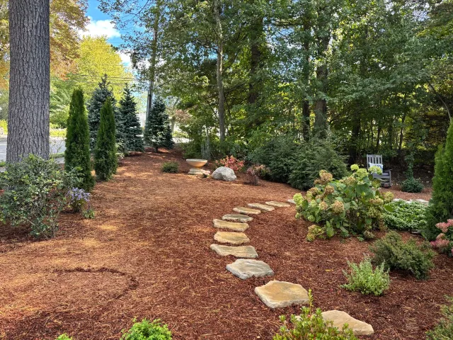 A curving stone path winds through a mulch-covered garden with small evergreens, shrubs, and trees in a sunny woodland.