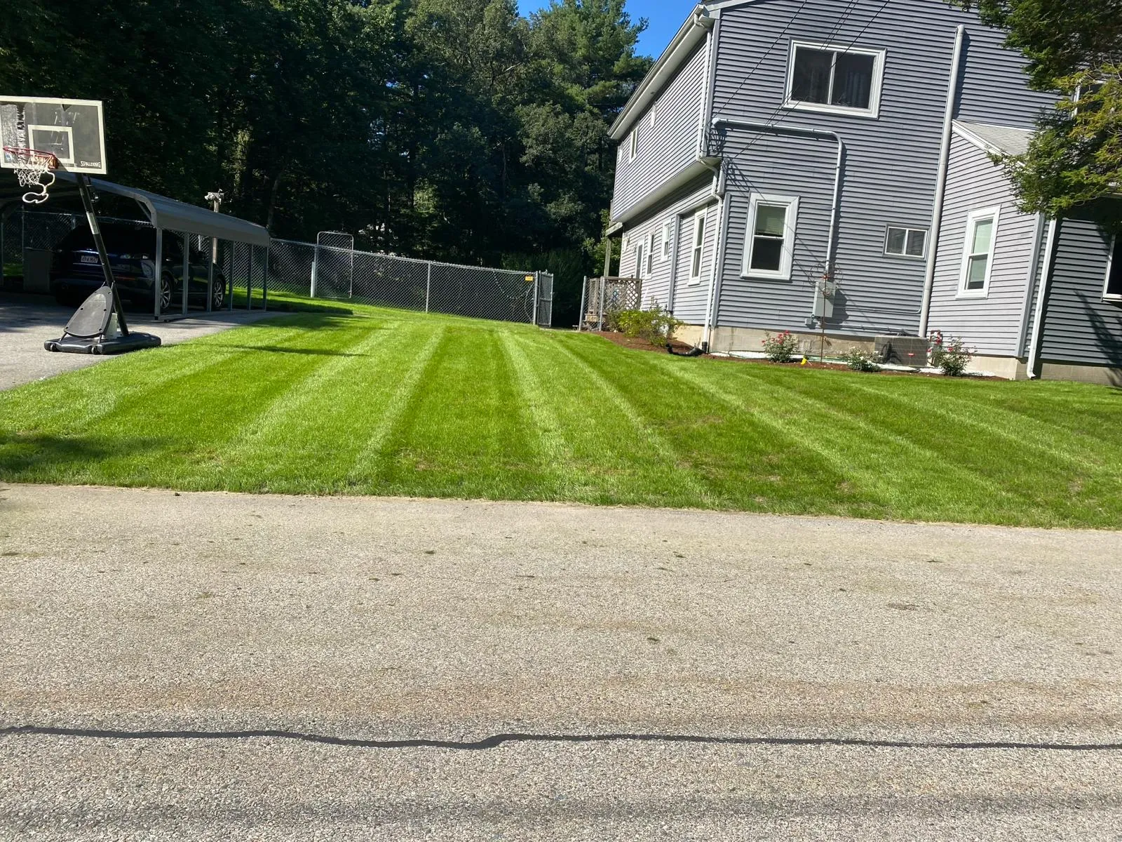 Oscar & Z Landscaping Inc | Landscaping Companies | Arborist Near Me | Lawn Mowers | MA