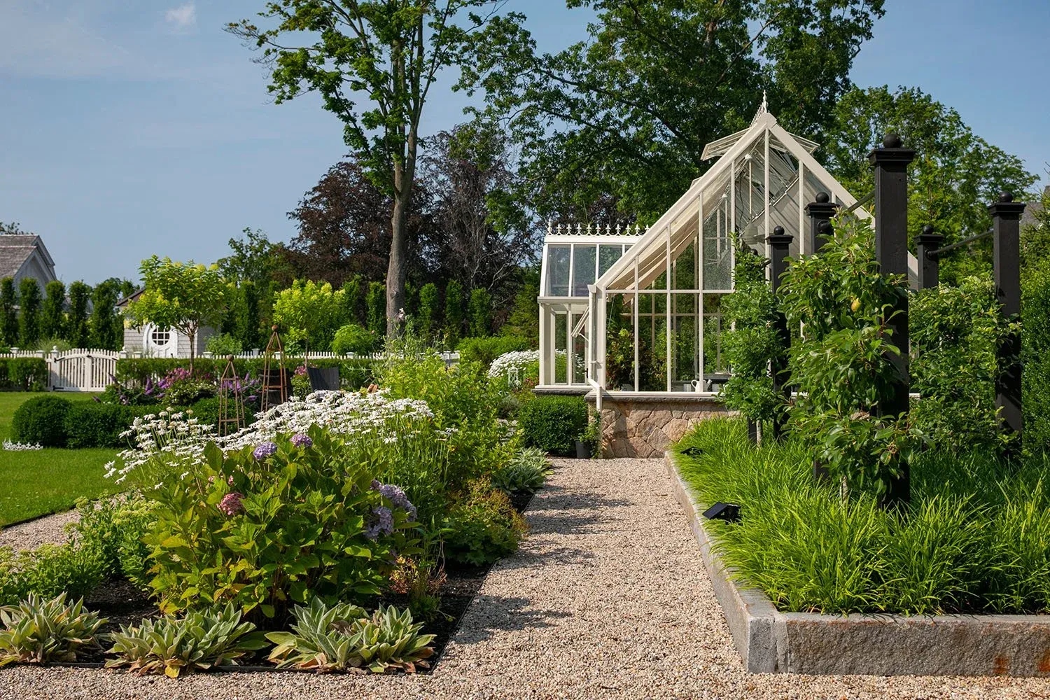 A well-maintained garden with a gravel pathway, lush green plants, flowering bushes, and a greenhouse structure with glass panes and white framing. A large tree with green leaves towers in the background, and a white picket fence surrounds the garden.