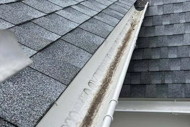 Gutter Cleaning