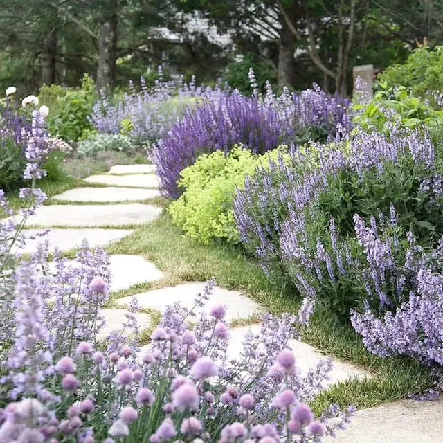 Lisa Swansey Landscape Architecture work photo