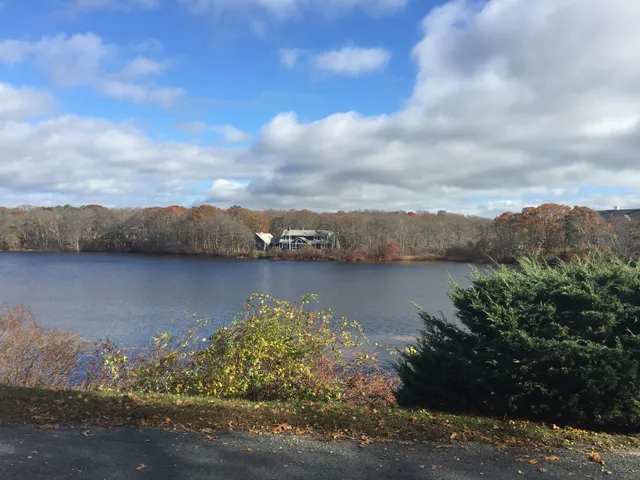 Patty Radford - Radford Realty Group work photo