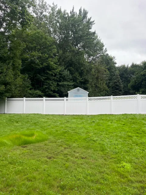 A backyard with green grass, a white vinyl fence, a small light blue shed with a gable roof, and tall trees in the background under an overcast sky.