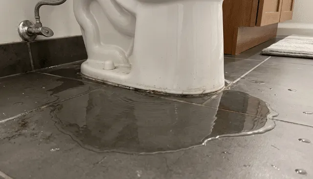 Water Pooling Around The Base Of Your Toilet