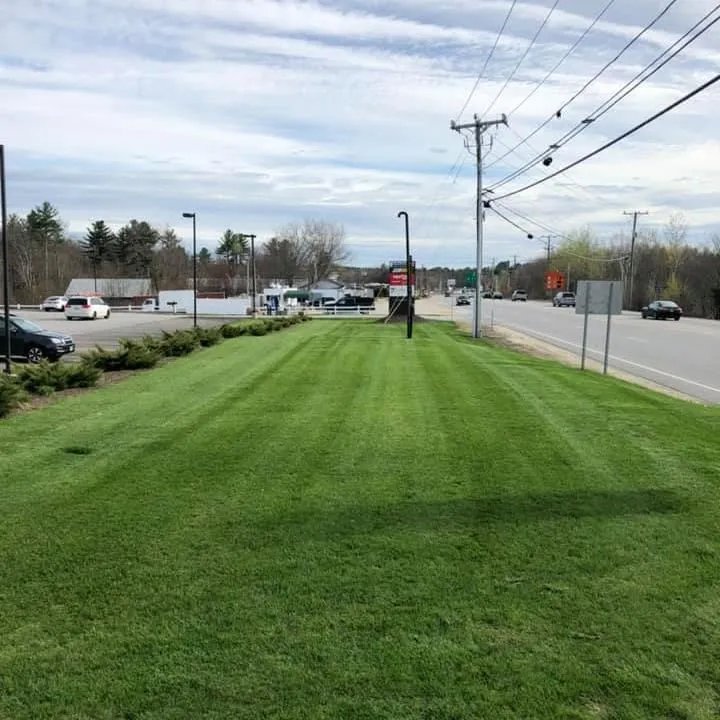 Shaheen Landscaping researched project photo