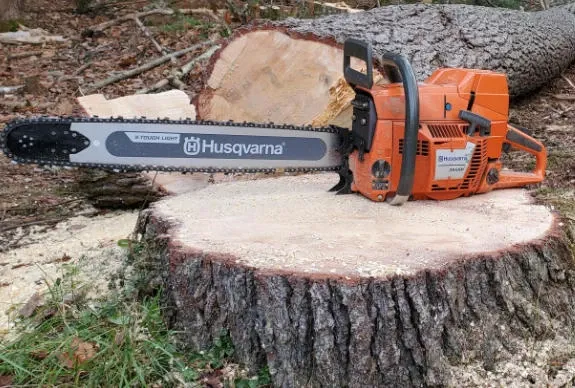 work photo from btbtreeservice.com