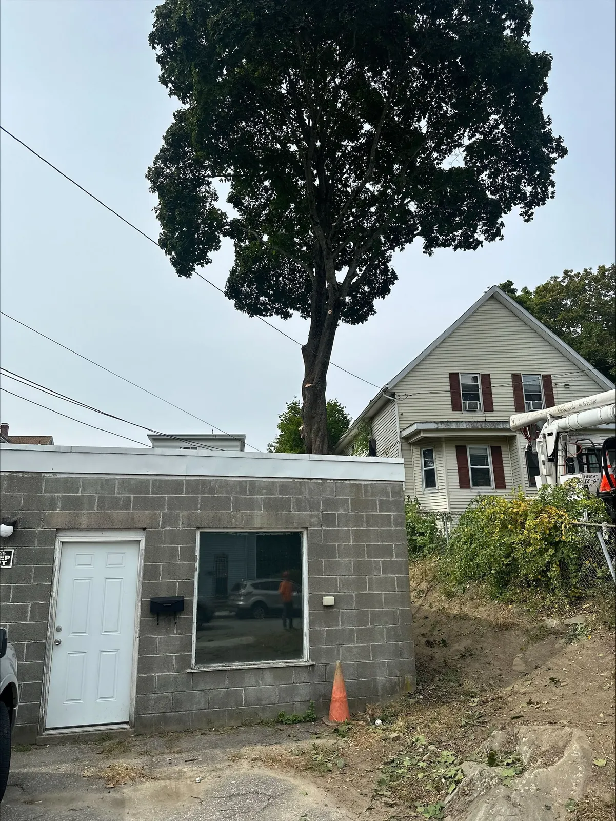 work photo from Google listing