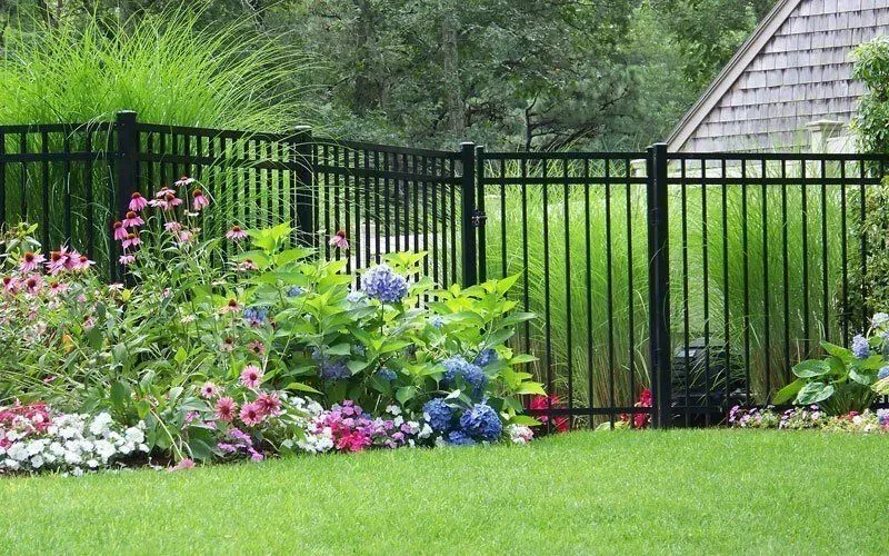 Black metal fence bordering a garden with purple coneflowers, blue hydrangeas, and green grass.