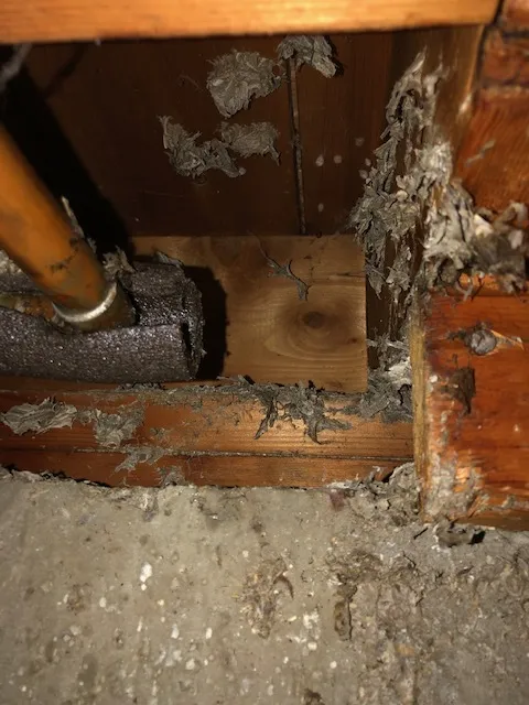 work photo from winthroppestcontrol.com