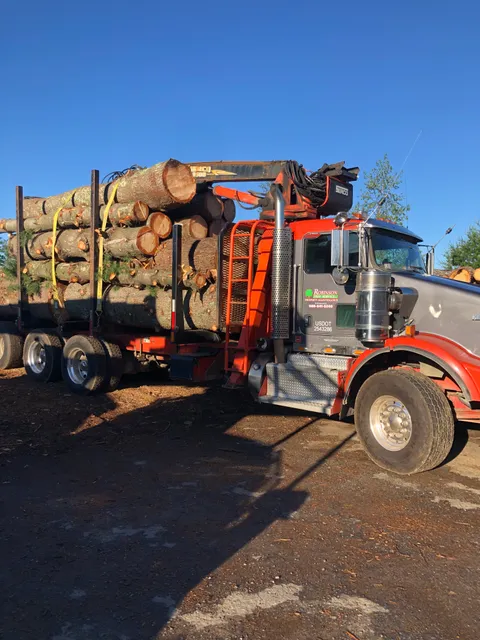 Robinson Tree Service work photo
