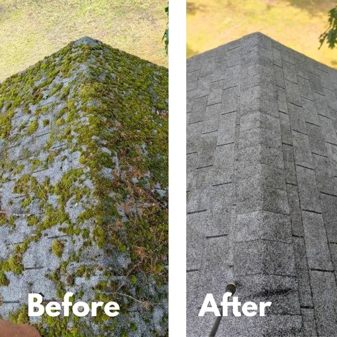 work photo from maxpressurewash.com
