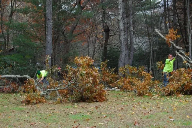 Two workers in neon green shirts clearing fallen tree branches in a forested area during autumn.