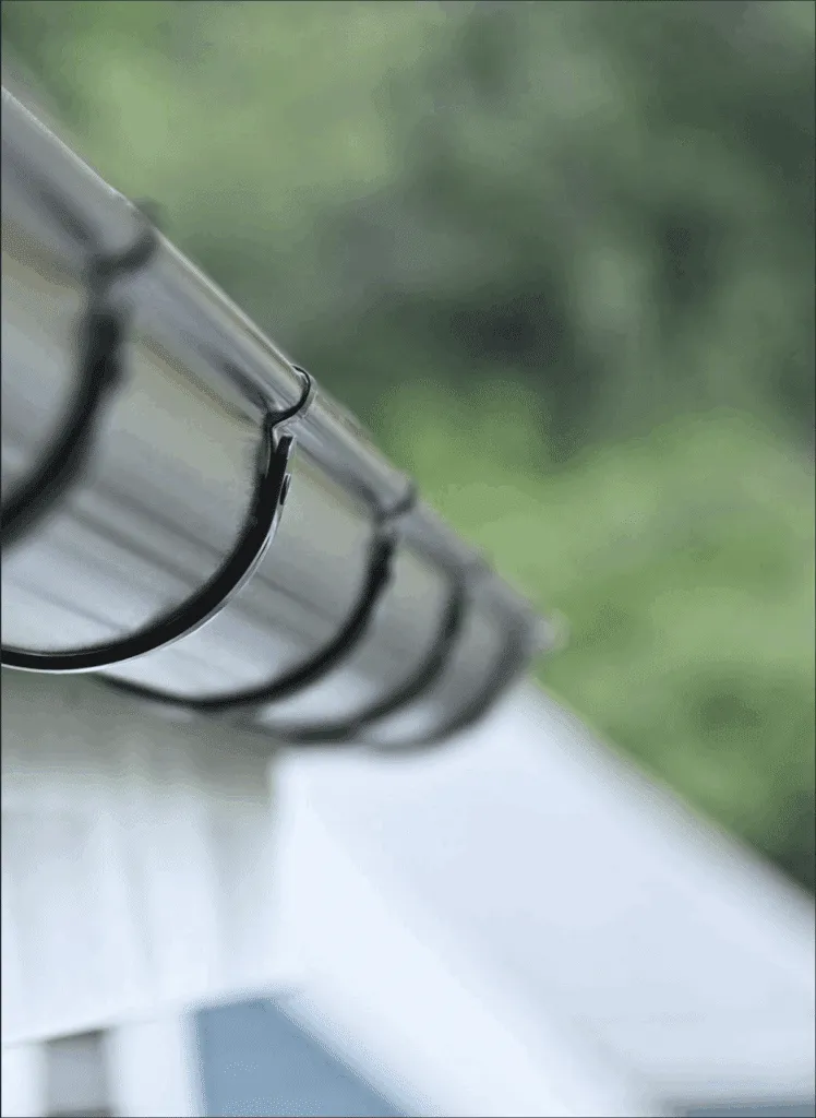 image (1)