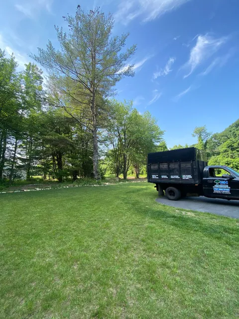 GH Tree Services and Landscaping